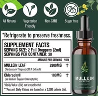 Image 2 of Mullein Leaf Extract