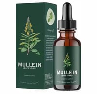Image 1 of Mullein Leaf Extract