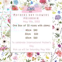 Mother's day 60 cm Pre-sale roses