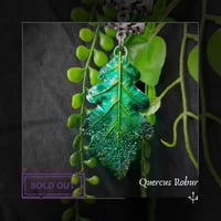 Image 21 of ☽ Quercus Robur ☾