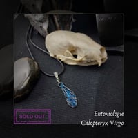Image 1 of ☽ Calopteryx Virgo ☾
