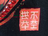 Image 4 of Space kitten 4, red rhinestones