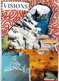 Visions collage print