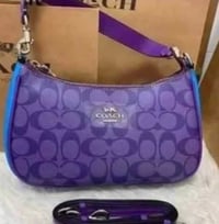 Teri Purple Bag