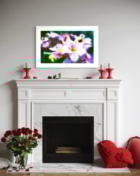 Image 2 of A FLORAL EXPLOSION 