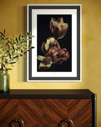 Image 3 of FADING TO BLACK (36X24)