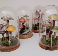 Image 1 of World in a Cloche Workshop 