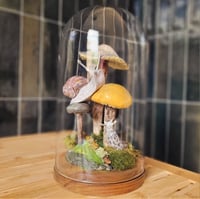 Image 2 of World in a Cloche Workshop 