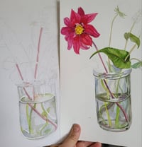 Botanical Watercolour Workshop 