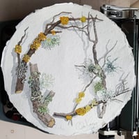 Image 1 of Watercolour Lichen Workshop 