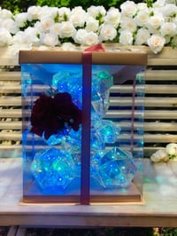 Image 2 of Bear Brings Roses