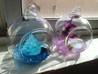 Image 1 of Diorama Domes