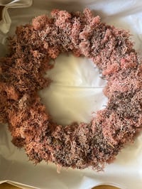 Image 1 of MAXI LICHENE