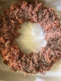 Image 2 of MAXI LICHENE