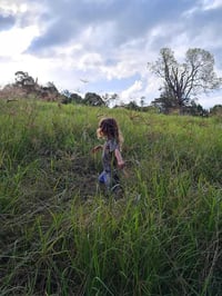 Term 2 - Hidden Worlds