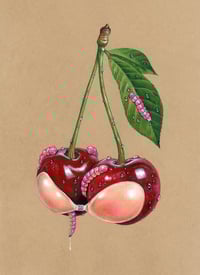 Image 2 of "Glam cherry 3"