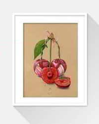 Image 1 of "Glam Cherry 4"