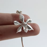 Image 5 of Phalaenopsis taenialis earring (made to order)