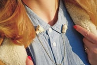 Image 2 of Lioness collar pins