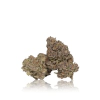 Image 1 of In-house - Small Batch Craft Flower 