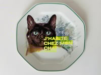 Image 1 of Assiette J'HABITE CHEZ MON CHAT #2