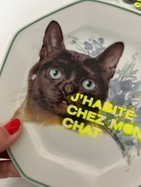 Image 2 of Assiette J'HABITE CHEZ MON CHAT #2