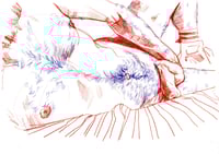 Image 1 of Bodyscape