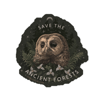 “Save The Ancient Forests” Vinyl Sticker