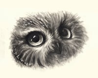 My New Eyes Saw The Old Things