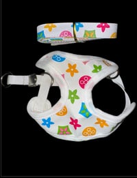 Image 3 of White Pawie Set