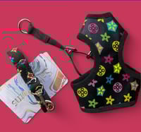 Image 1 of Black Pawie set