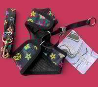 Image 2 of Black Pawie set