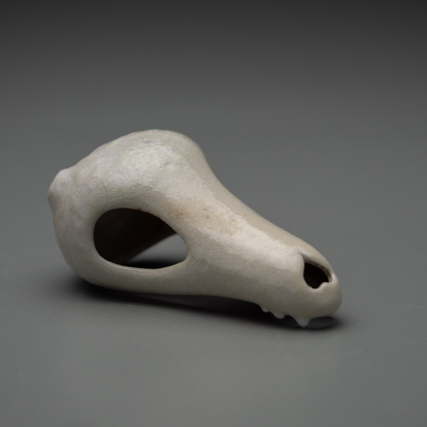 Image of Heart Nosed Skull