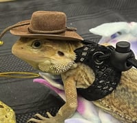 Image 2 of Cowboy Hat