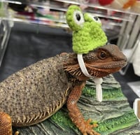 Image 3 of Froggy Hat