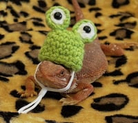 Image 1 of Froggy Hat