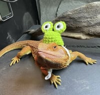 Image 2 of Froggy Hat