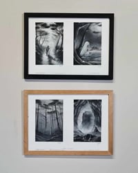 Image 1 of CROQUIS / SKETCHES - Landes Obscures