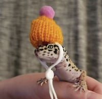 Beanie Hat