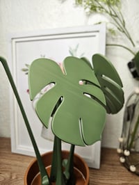 Image 6 of 3D Printed Monstera Plant Coaster Set | Albo Design | Cute Plant Pot | Fake Plant Decor | Housewa...