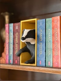 Image 1 of Badger Book Nook | Wizard-Themed Magic Bookshelf Insert 