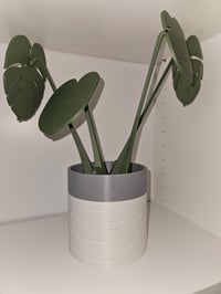 Image 8 of 3D Printed Monstera Plant Coaster Set | Albo Design | Cute Plant Pot | Fake Plant Decor | Housewa...