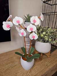Image 1 of Aromatic Orchid Oil Diffuser – 9.5" Wide, 16" Tall, Manual Spin Diffuser
