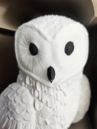 Image 4 of White Owl Book Nook | Magical Owl Theme