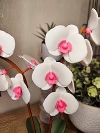 Image 3 of Aromatic Orchid Oil Diffuser – 9.5" Wide, 16" Tall, Manual Spin Diffuser