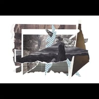 Image 2 of 'Collage c' - print