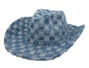 LUXURY JEAN WIDE BRIM FEDORA HATS...