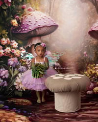 Image 1 of Limited Edition Fairy Minis -  Saturday, June 7th 