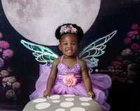 Image 5 of Limited Edition Fairy Minis -  Saturday, June 7th 