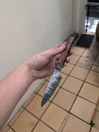 Image 5 of Stainless clad apex ultra petty final payment 